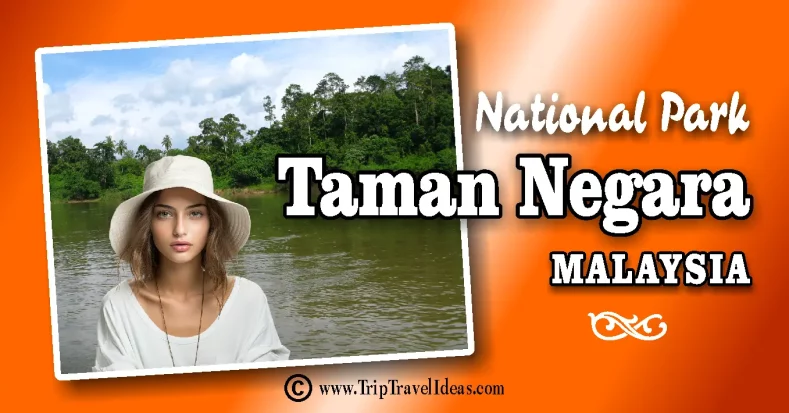 Taman Negara National Park 1